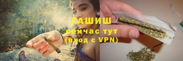прущие грибы Богданович