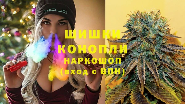 spice Бронницы