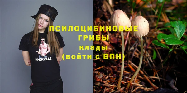 МДПВ Бугульма