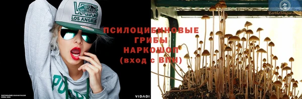 МДПВ Бугульма
